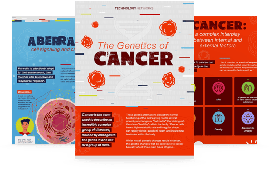 The Genetics of Cancer